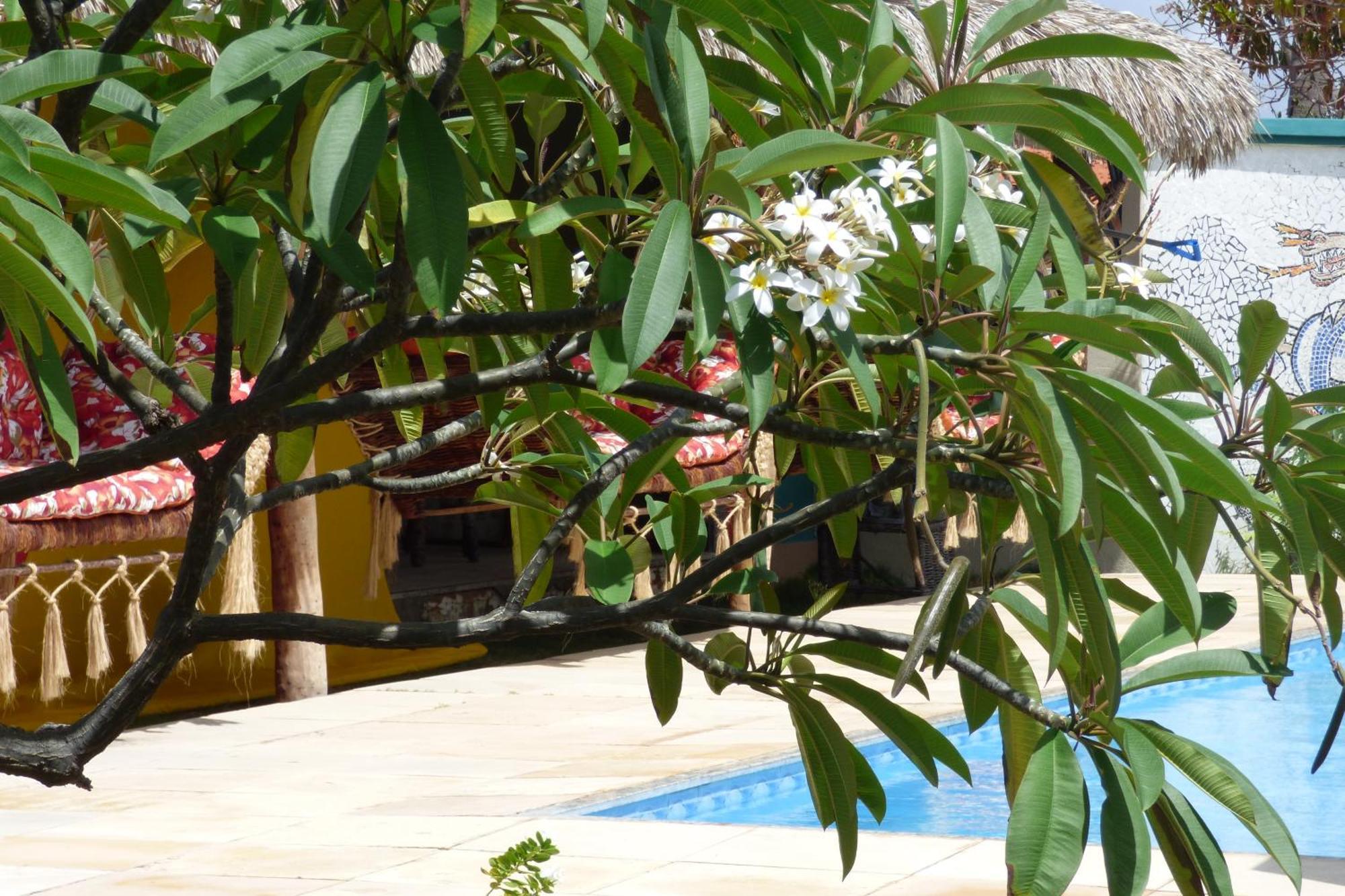 A Toca Do Bem-Te-Vi Hotel Águas Belas Exterior foto